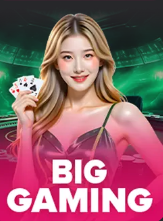 Big Gaming